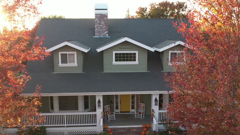 Best Roof Maintenance and Cleaning  in Millport, AL