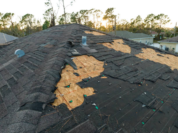Best Roof Installation  in Millport, AL